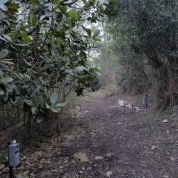 Setting up camera traps for the Overberg survey